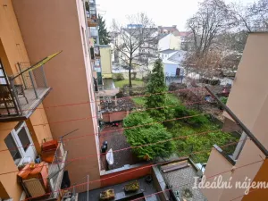 Pronájem bytu 4+kk, Brno, Mezírka, 90 m2