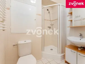 Pronájem bytu 1+1, Zlín, Podlesí V, 33 m2