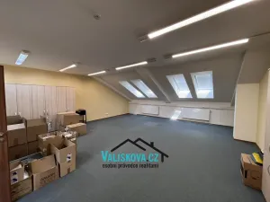 Pronájem bytu 6+kk a větší, Hulín, Vrchlického, 150 m2