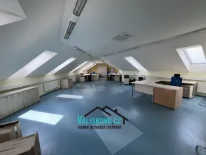 Pronájem bytu 6+kk a větší, Hulín, Vrchlického, 150 m2