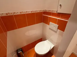 Pronájem bytu 3+1, Děčín, Weberova, 69 m2