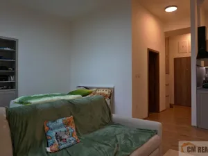 Pronájem bytu 1+kk, Olomouc - Hodolany, Holická, 42 m2