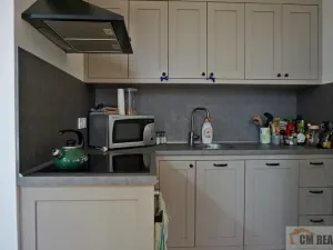 Pronájem bytu 1+kk, Olomouc - Hodolany, Holická, 42 m2