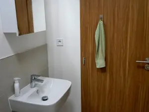 Pronájem bytu 1+kk, Olomouc - Hodolany, Holická, 42 m2