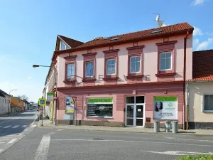 Pronájem bytu 1+kk, České Budějovice, K. V. Raise, 52 m2