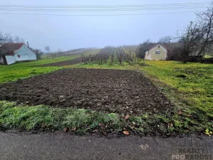 Prodej pozemku pro bydlení, Čejč, 1561 m2