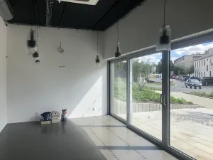 Prodej restaurace, Plzeň, Papírnická, 168 m2