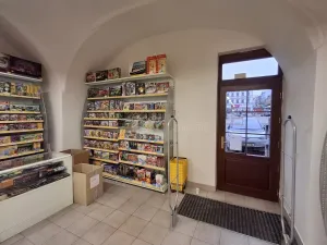 Pronájem obchodního prostoru, Kolín - Kolín I, 205 m2