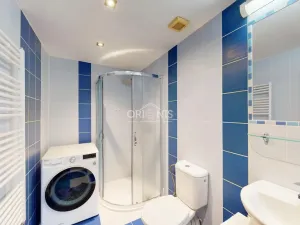 Prodej vícegeneračního domu, Chomutov, Václavská, 156 m2