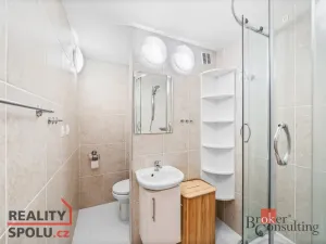 Prodej bytu 1+kk, Plzeň - Bolevec, Krašovská, 33 m2