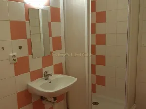 Pronájem bytu 1+kk, Brno - Žabovřesky, Minská, 29 m2