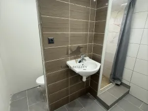 Pronájem bytu 1+1, Orlová, Lesní, 38 m2