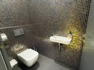 Pronájem obchodního prostoru, Praha - Karlín, Sokolovská, 215 m2