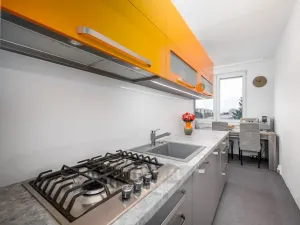 Prodej bytu 2+1, České Budějovice - České Budějovice 3, U Trojice, 63 m2