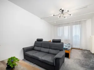 Prodej bytu 2+1, České Budějovice - České Budějovice 3, U Trojice, 58 m2