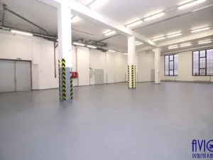 Pronájem skladu, Praha - Strašnice, U trati, 263 m2