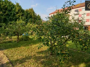 Prodej bytu 3+1, Žatec, Bratří Čapků, 81 m2