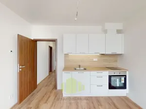 Pronájem bytu 1+kk, Olomouc, Camilla Sitteho, 32 m2