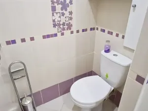 Pronájem bytu 1+1, Přerov, Sokolská, 36 m2