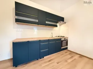 Pronájem bytu 2+kk, Háj u Duchcova, Kubátova, 54 m2