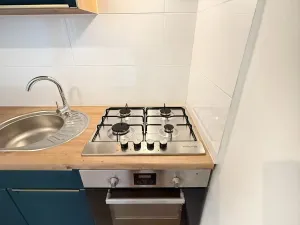 Pronájem bytu 2+kk, Háj u Duchcova, Kubátova, 54 m2