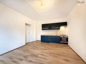 Pronájem bytu 2+kk, Háj u Duchcova, Kubátova, 54 m2
