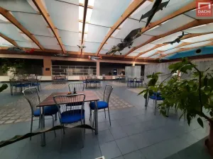 Pronájem kanceláře, Olomouc, Šlechtitelů, 57 m2