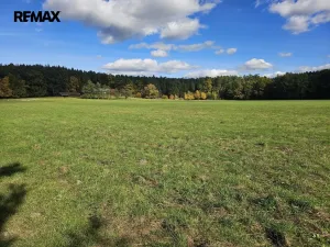 Prodej rodinného domu, Nová Ves, 375 m2