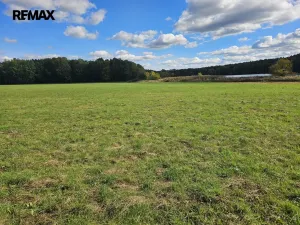 Prodej rodinného domu, Nová Ves, 375 m2