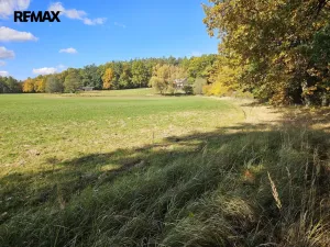 Prodej rodinného domu, Nová Ves, 375 m2