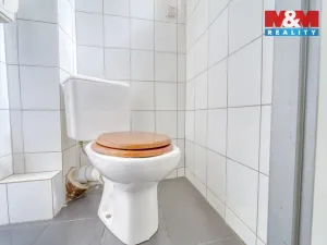 Pronájem obchodního prostoru, Plzeň - Jižní Předměstí, Havlíčkova, 185 m2