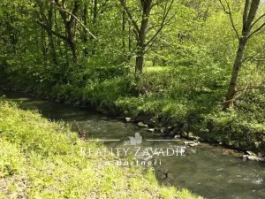 Prodej rybníku, Žabeň, 30500 m2