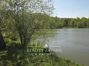 Prodej rybníku, Žabeň, 30500 m2