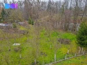 Prodej pozemku pro bydlení, Dub nad Moravou - Bolelouc, 1966 m2