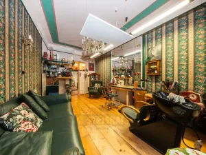 Prodej obchodního prostoru, České Budějovice - České Budějovice 3, J. Š. Baara, 41 m2