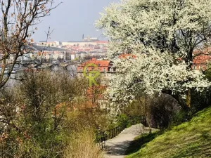 Pronájem bytu 1+1, Praha - Nové Město, Na výtoni, 41 m2