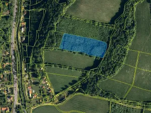 Prodej lesa, Nový Jičín, 15225 m2