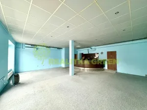 Pronájem restaurace, Napajedla, 155 m2