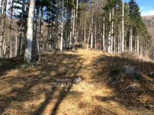 Prodej lesa, Morávka, 27814 m2