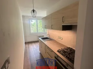 Pronájem bytu 2+1, České Budějovice, Dobrovodská, 63 m2