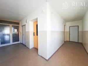 Pronájem bytu 2+1, Chomutov, Holešická, 62 m2