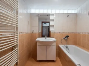 Pronájem bytu 1+1, Praha - Krč, Štúrova, 43 m2