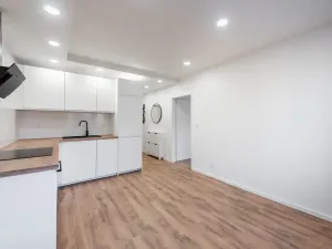 Prodej bytu 2+kk, Praha - Kamýk, Seidlova, 45 m2