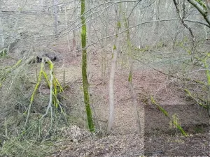 Prodej pozemku, Újezd u Svatého Kříže, 1239 m2