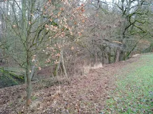 Prodej pozemku, Újezd u Svatého Kříže, 1239 m2