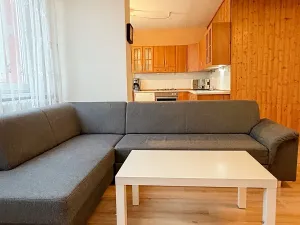 Pronájem bytu 4+1, Mladá Boleslav, Erbenova, 79 m2