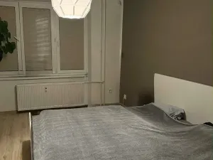 Pronájem bytu 2+1, Ostrava, Slavníkovců, 53 m2