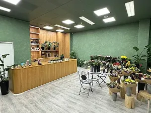 Pronájem obchodního prostoru, Brno, náměstí Svobody, 64 m2