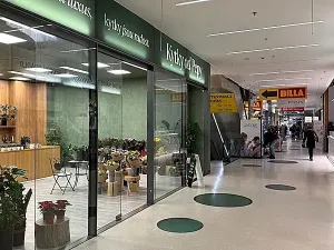 Pronájem obchodního prostoru, Brno, náměstí Svobody, 64 m2