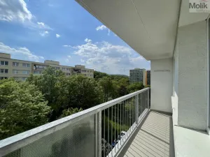 Pronájem bytu 3+1, Most, Jana Kubelíka, 55 m2